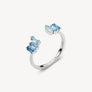 RING FANCY - FCL12